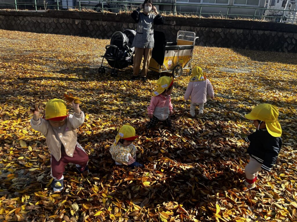 写真: 落ち葉あそび