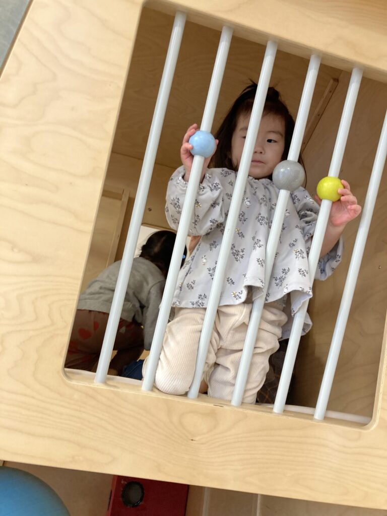 写真: ツリーハウスであそんだよ🏚️