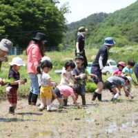 仲良し田んぼ