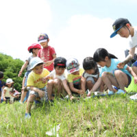 仲良し田んぼ